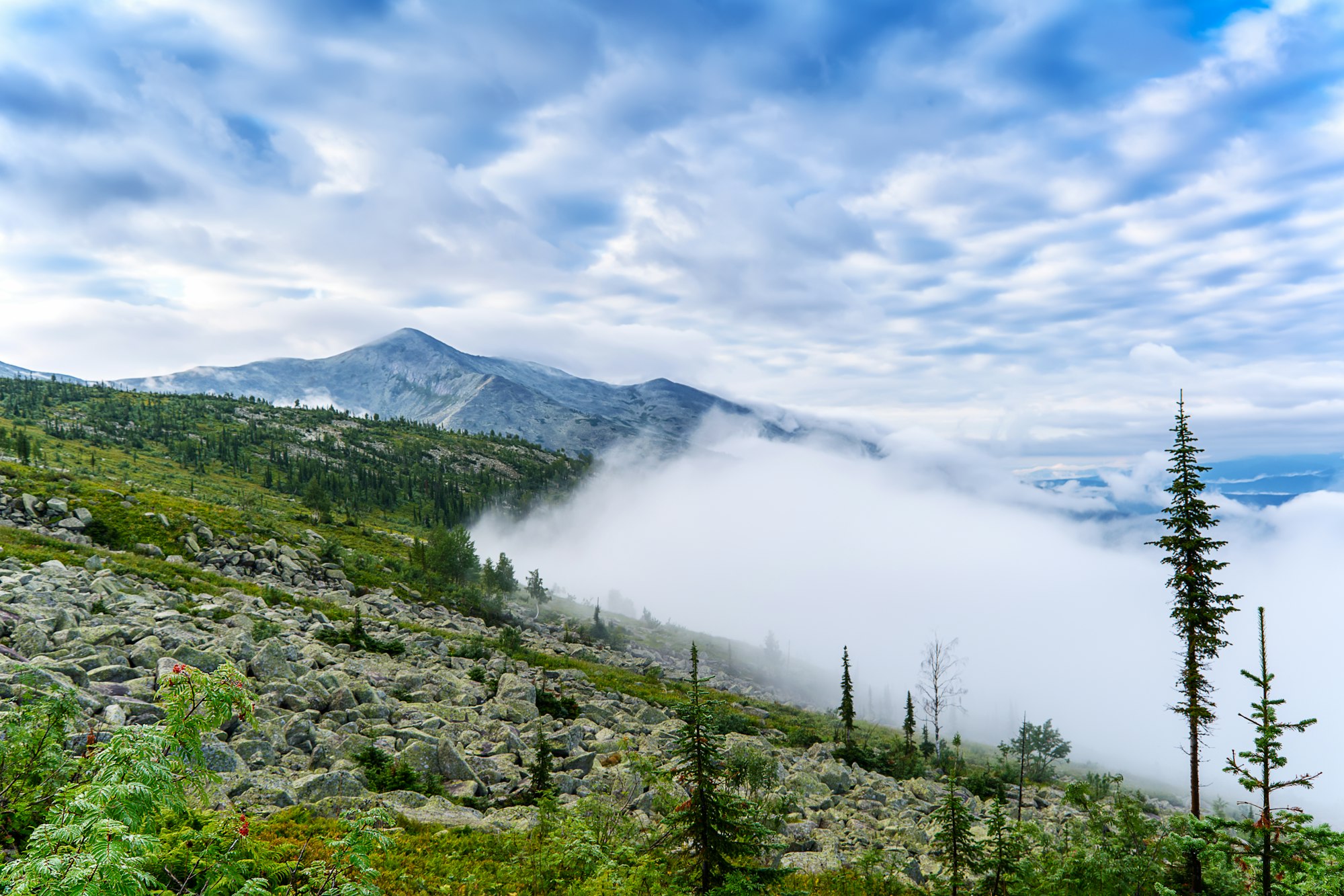 Morning mist over forest in mountain range